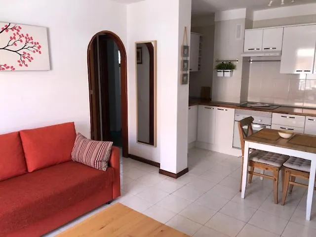 Cardon Cristianos Los Cristianos (Tenerife)